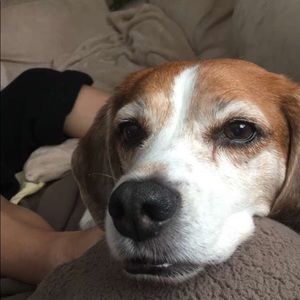 Meet your Posher, Helena